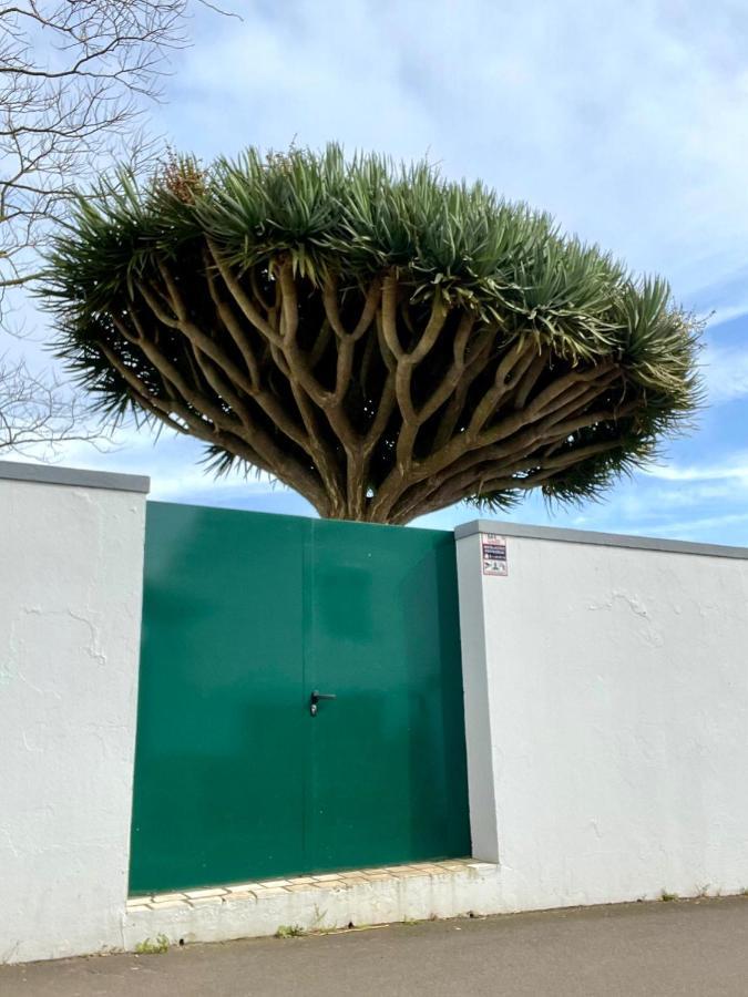 Casa As Sete Βίλα Angra do Heroísmo Εξωτερικό φωτογραφία